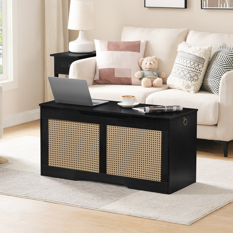 Beachcrest Home™ Bayne Blanket Storage Bench with Rattan & Reviews